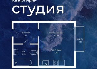 Продается однокомнатная квартира, 25.2 м2, село Фрунзе, улица Мира, 27А