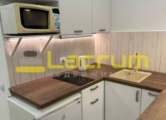 Продается квартира студия, 27 м2, Красноярский край, Ленинградская улица, 42