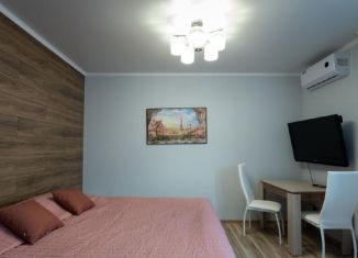 Однокомнатная квартира в аренду, 34 м2, Иркутск, улица Канадзавы, 3