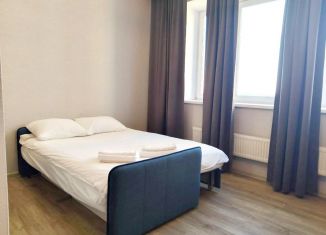 Сдается 1-ком. квартира, 24.9 м2, Королёв, Октябрьский бульвар, 26