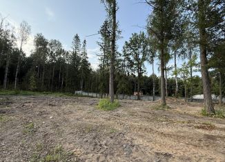 Продам участок, 21.43 сот., посёлок Лисий Нос, Большой проспект
