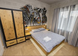 Сдам в аренду 1-комнатную квартиру, 20 м2, Тверь, улица Благоева, 65