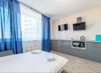 Аренда однокомнатной квартиры, 24.6 м2, Королёв, Октябрьский бульвар, 26