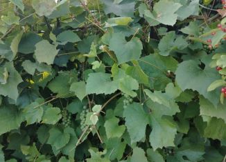 Продам дачу, 16 м2, Сызрань, Берёзовая улица