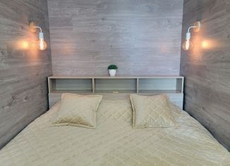 Аренда однокомнатной квартиры, 30 м2, Липецк, улица М.И. Неделина, 10