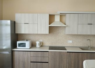 Сдается 1-ком. квартира, 34 м2, Алтайский край, Песчаная улица, 89