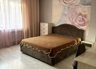 Сдаю в аренду 1-ком. квартиру, 50 м2, Красноярск, улица Водопьянова, 11А