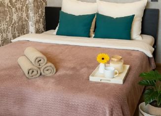 Аренда однокомнатной квартиры, 34 м2, Таганрог, улица Сызранова, 23-1к2