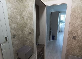 Продажа квартиры студии, 26 м2, Мурино, Воронцовский бульвар, 2, ЖК Гринландия