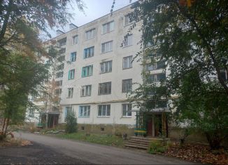Продажа 1-комнатной квартиры, 32 м2, село Пайгарма, Родниковая улица, 111