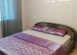 Сдается 1-ком. квартира, 38 м2, Новосибирск, Колхидская улица, 31