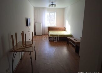 Сдается квартира студия, 22 м2, Алтайский край, улица Каландаришвили, 4А