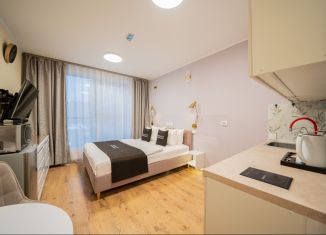 Сдам однокомнатную квартиру, 26 м2, посёлок Парголово, Толубеевский проезд, 8к2