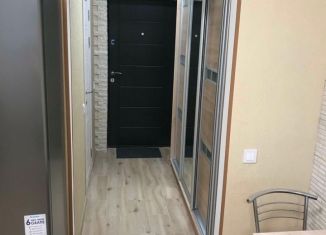 Сдаю в аренду квартиру студию, 25 м2, Алтайский край, улица Крупской, 124