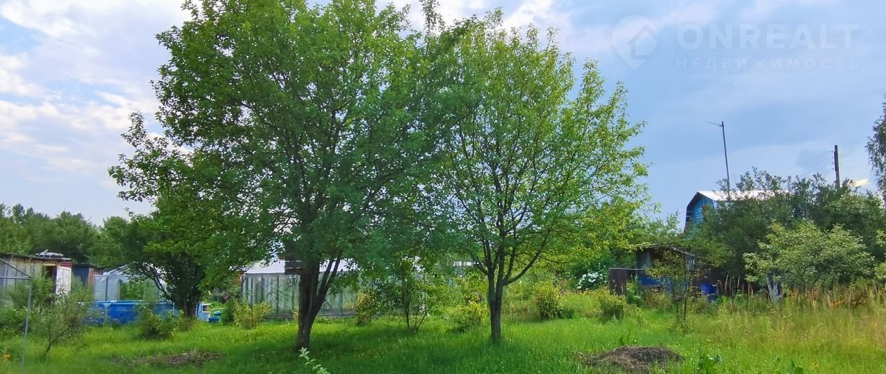 Купить Дачу В Ягодном Нижегородской